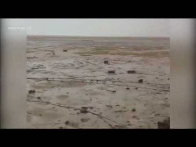 Társkereső jelenet tampa fl