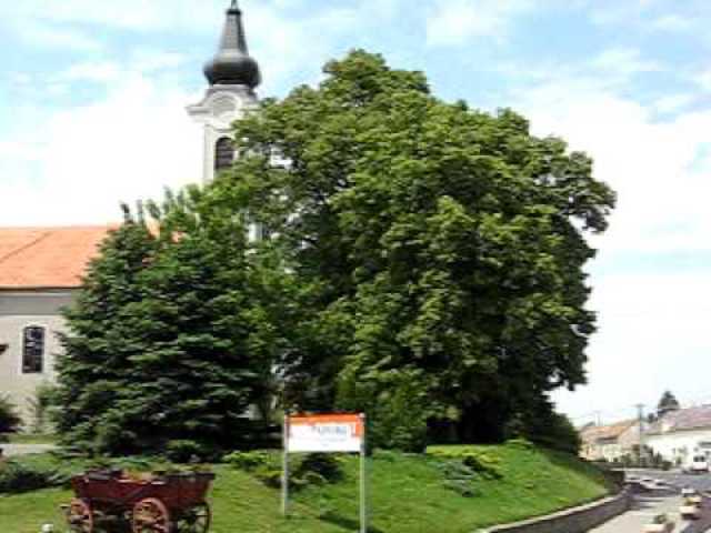 Vajszló