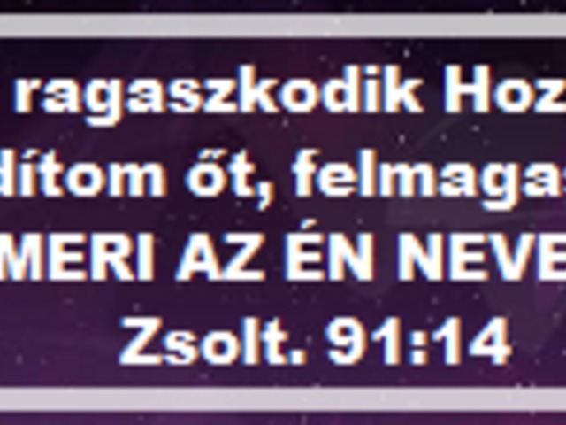Leszbikus társkereső oldalak tampa fl
