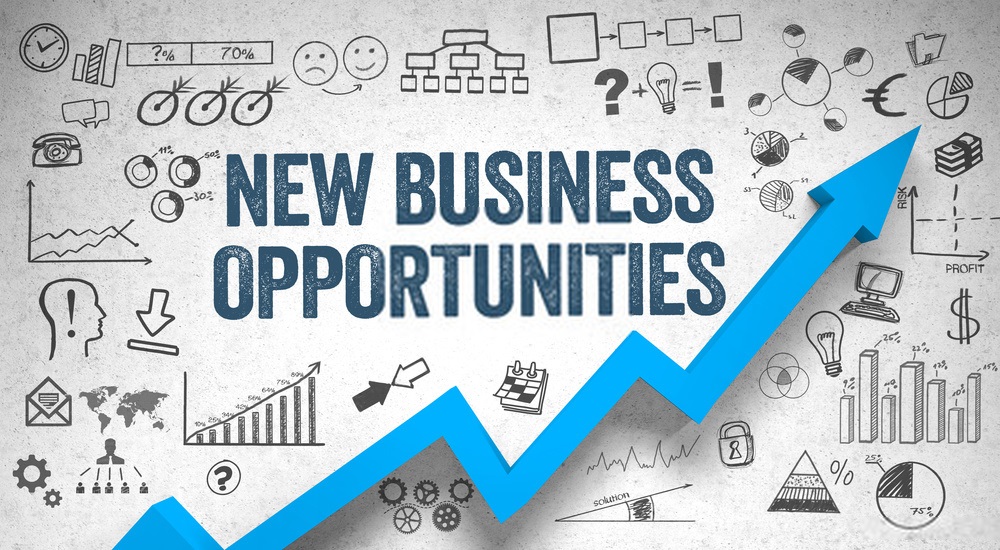 business-opportunities_ungarnconsulting.jpg