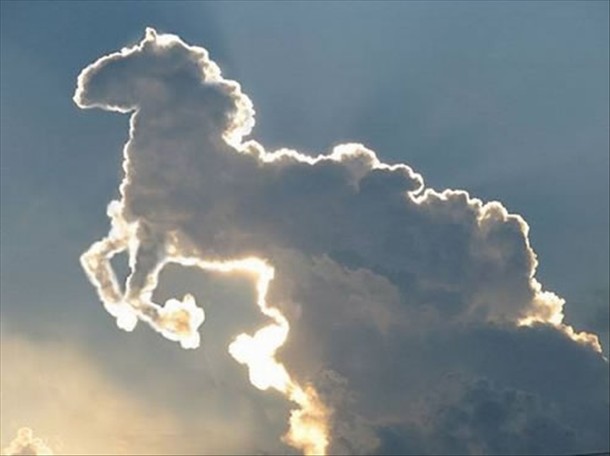 big-cloud-horse-shape.jpg