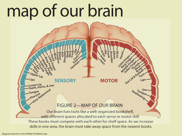 brain-map.gif