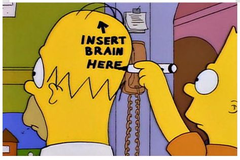 insbrain.jpg