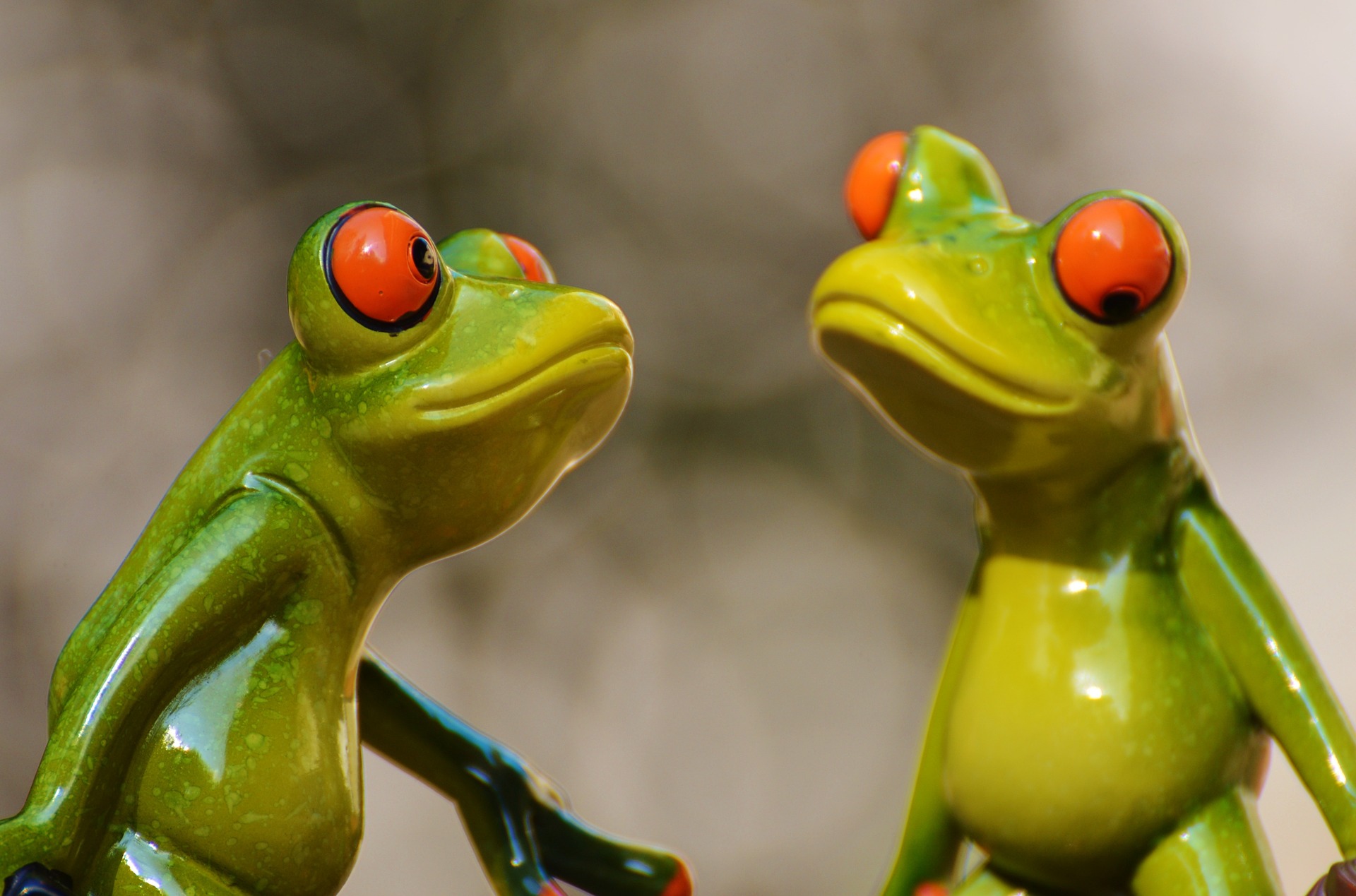 frogs-897978_1920.jpg