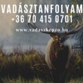 Vadászképző, vadásztanfolyam A tanfolyamról információk