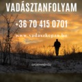 VADÁSZTANFOLYAM, VADÁSZKÉPZÉS