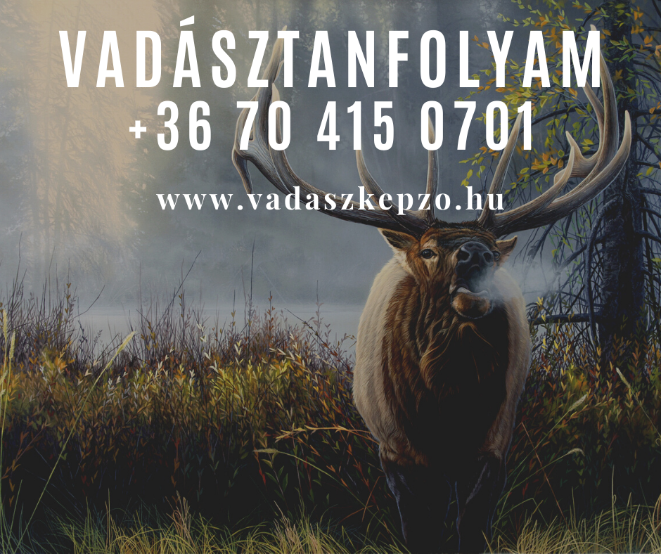 vadasz-tanfolyam.png