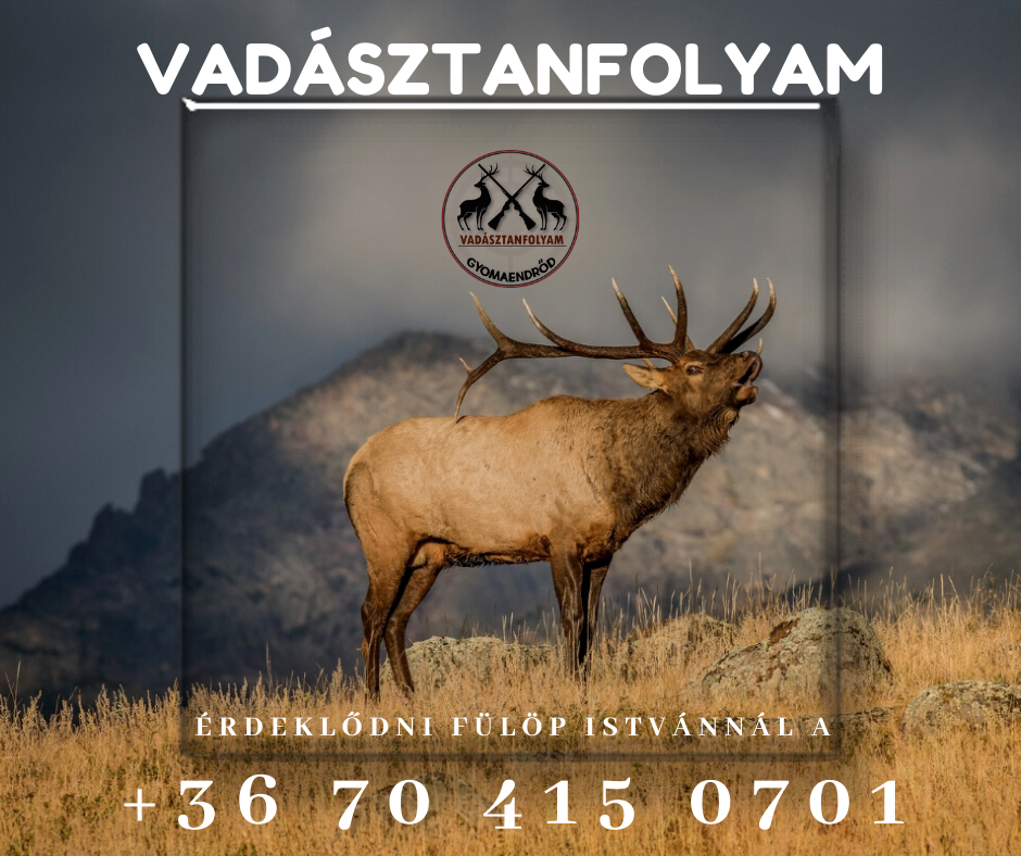 vadasztanfolyam_gyomaendrodon_vadaszat_vadasztanfolyam.png