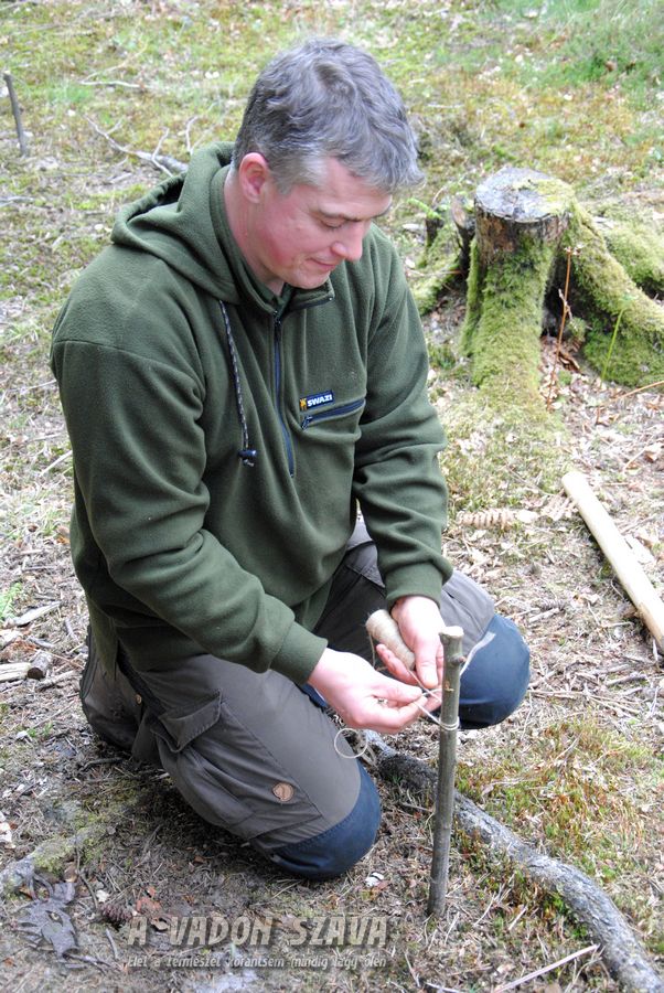 paul_kirtley_bushcraft.jpg