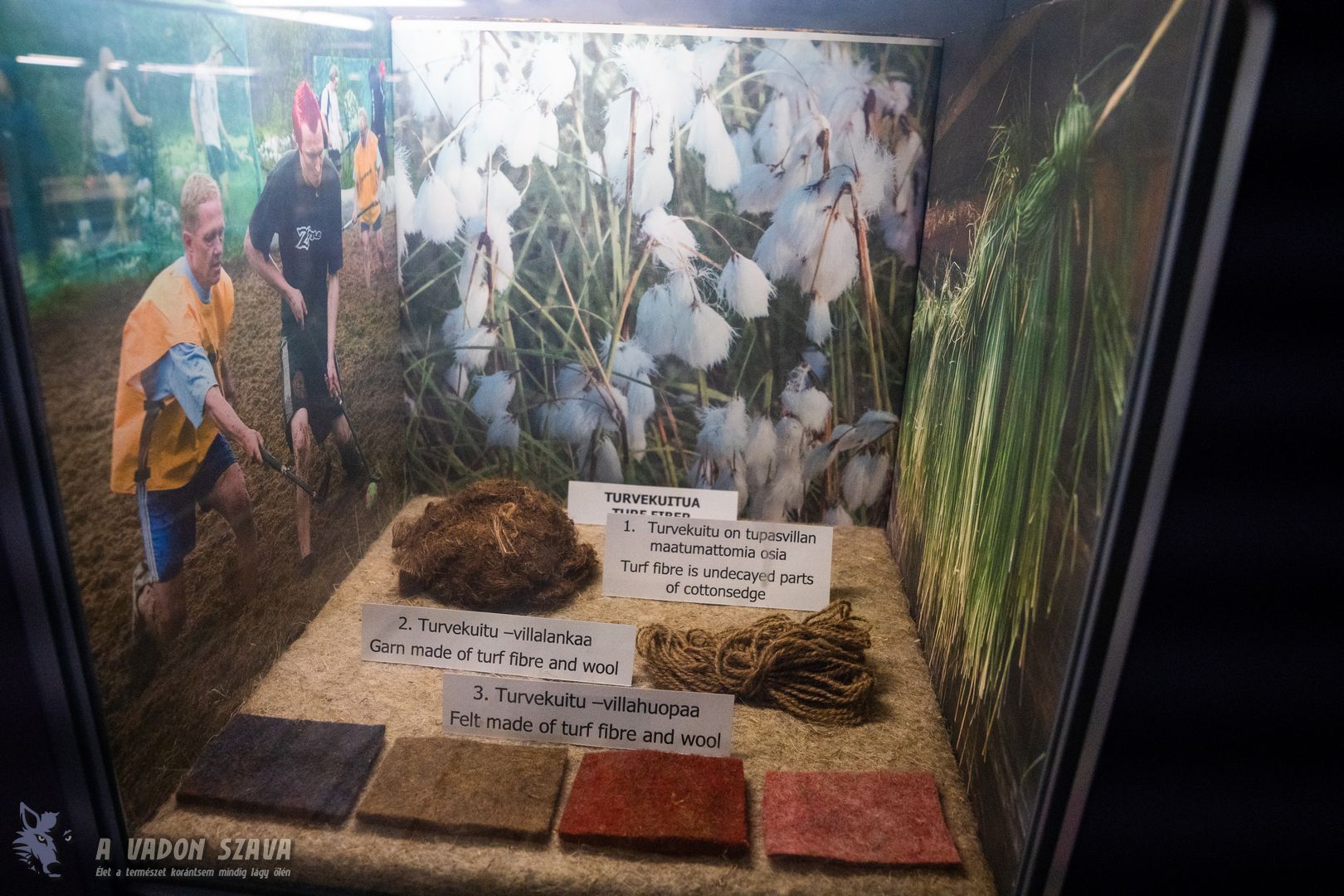 A helyiek hagyományairól is van néhány vitrin