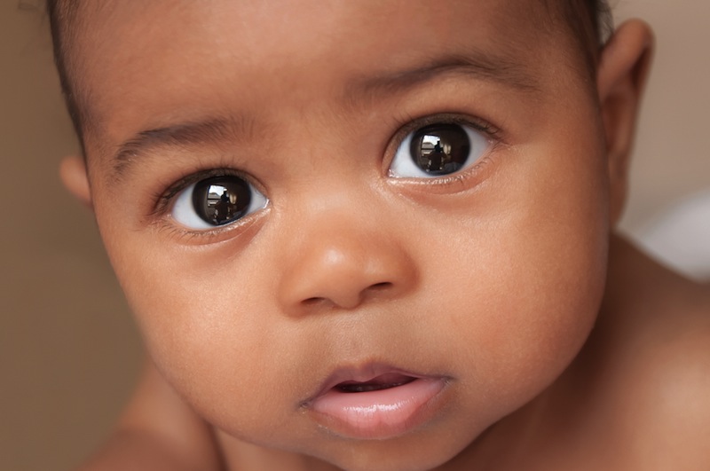 baby-food-grinder.jpg