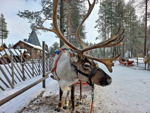 Lappföld (2022)