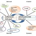 Alkalmazott, tulajdonos, fizetés, osztalék – kinek mennyi jár?