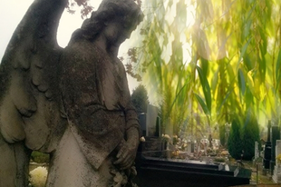 Válóczy Szilvia: Egy Angyal szobor előtt