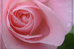 Válóczy Szilvia: Úgy szeress