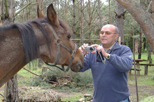 Válóczy Szilvia: Etele és a vásár