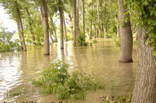 Válóczy Szilvia: Dunai helyzetjel árvíz idején