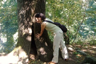 Válóczy Szilvia: Egy őszi fáról