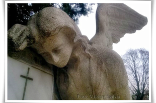 Válóczy Szilvia: Az angyalok nem tudják