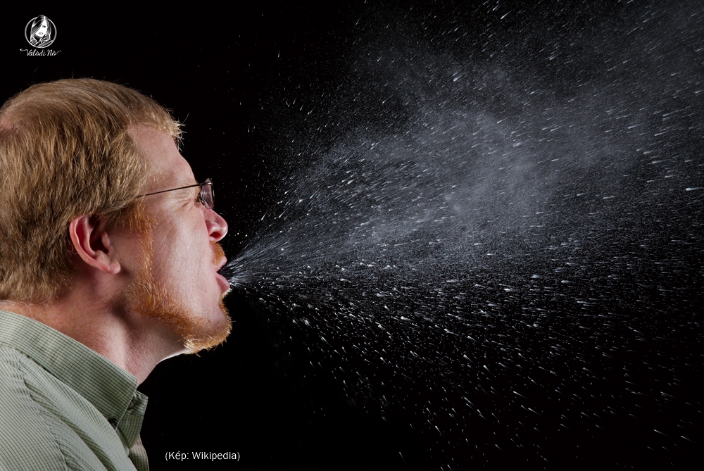 sneeze_wikipedia1000x669logo.jpg