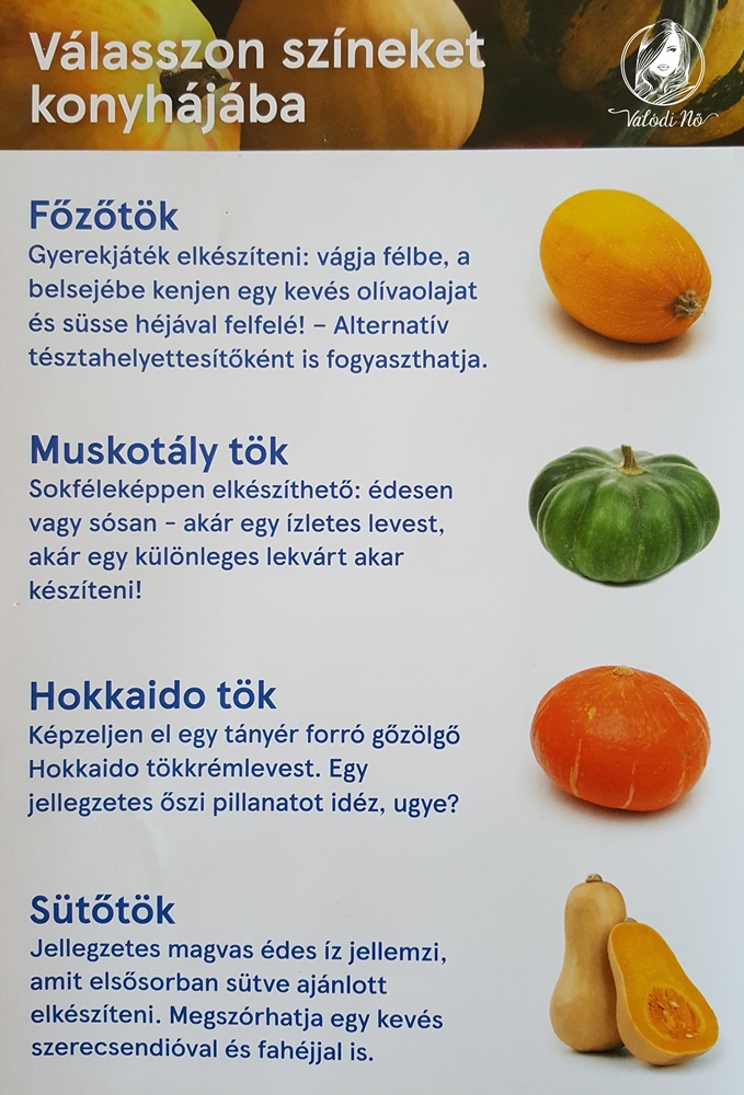 tokfajtaklogo1000x563.jpg