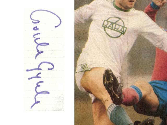 Osztálynapló – Csonka Gyula
