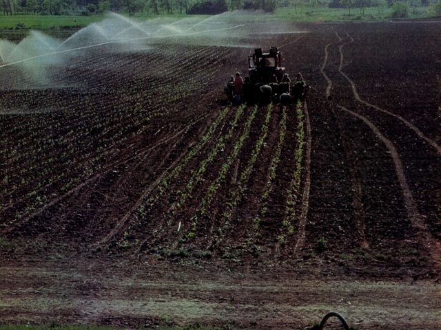 Időkapszula: NB I. 1984/85 25. forduló