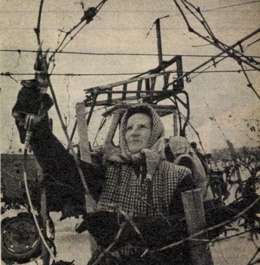 idokapszula_nb_i_1983_84_oszi_zaras_tabellaparade_szolometszes.jpg