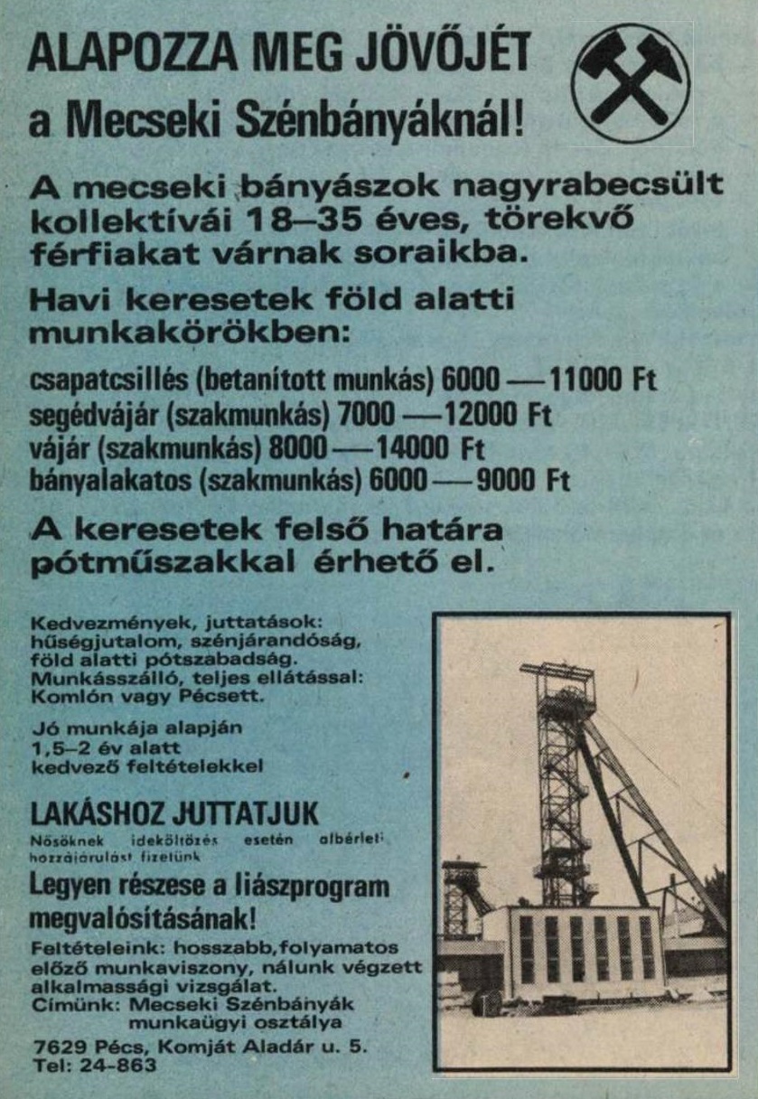 idokapszula_nb_i_1984_85_6_fordulo_allasajanlat_2.jpg