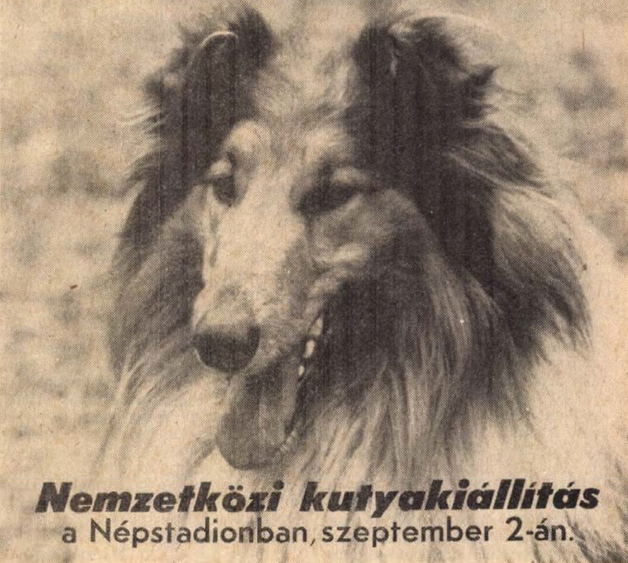 idokapszula_nb_i_1984_85_bevezetes_reklam_3.jpg