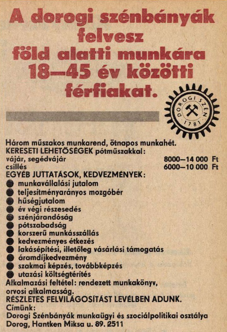 idokapszula_nb_i_1984_85_oszi_zaras_edzoi_gyorsmerleg_1_allasajanlat_2.jpg