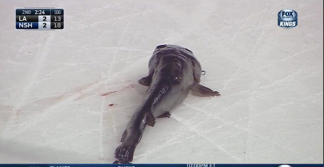 Nashville_Catfish.jpg