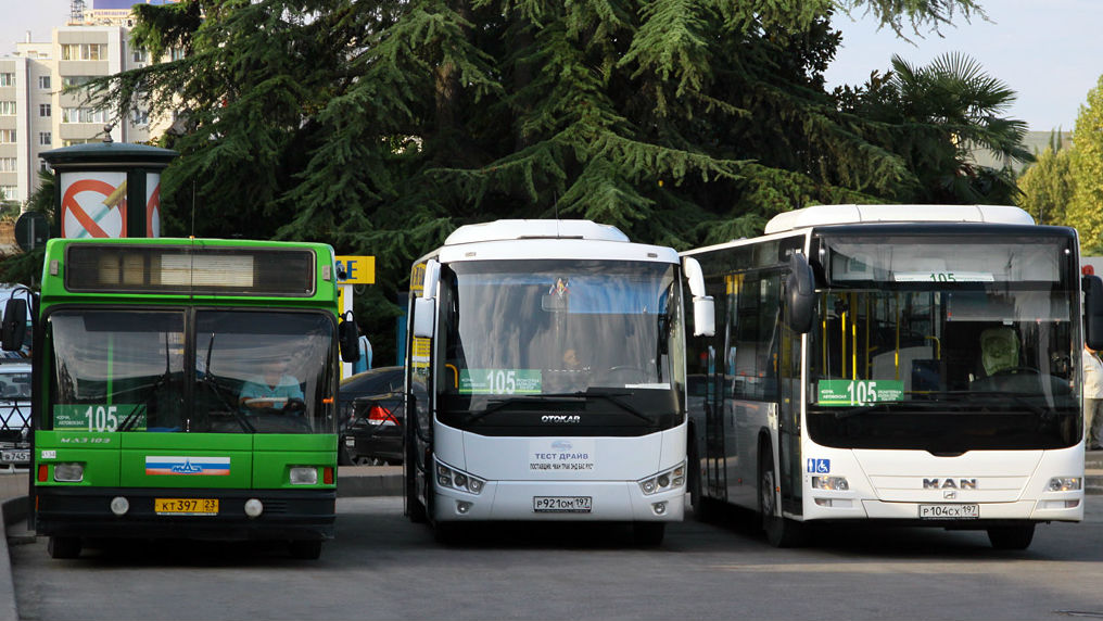 bus-sochi.jpg