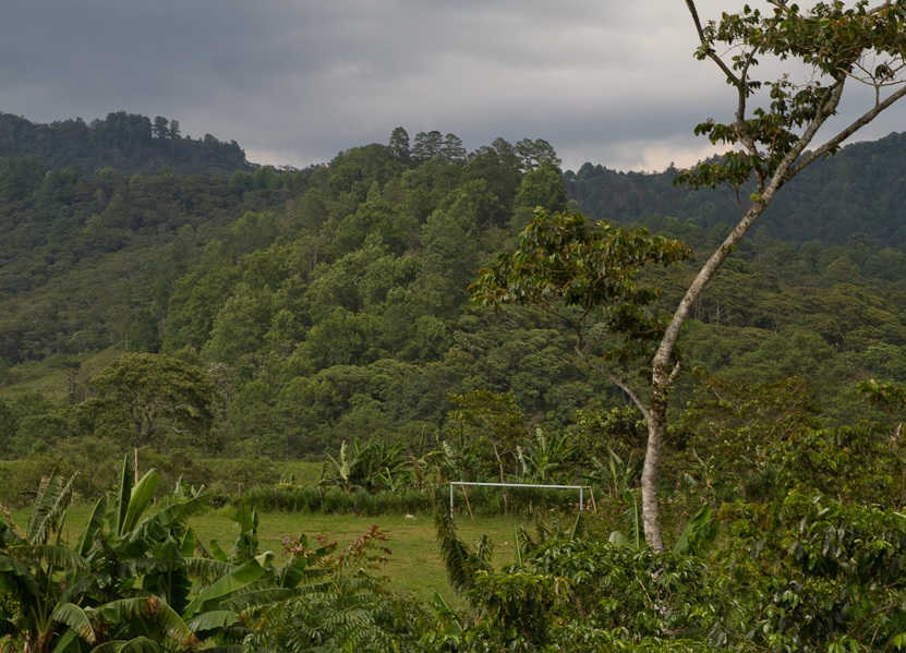 capucas-soccer-field-in-jungle.jpg