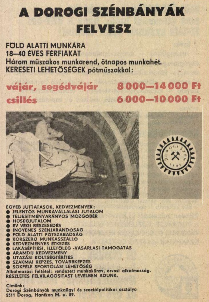 idokapszula_nb_i_1984_85_tavaszi_zaras_merlegen_a_felsohaz_allasajanlat_2.jpg