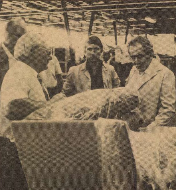 idokapszula_nb_i_1984_85_tavaszi_zaras_az_nb_ii_es_a_harmadik_vonal_aczel_gyorgy_zala_butorgyar.jpg