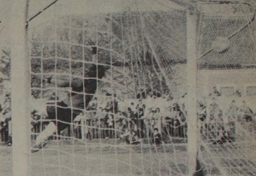 idokapszula_nb_i_1984_85_tavaszi_zaras_az_nb_ii_es_a_harmadik_vonal_nb_ii_baja_dvtk.jpg