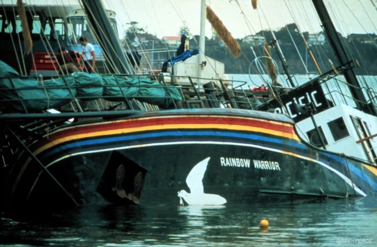 idokapszula_nb_i_1984_85_tavaszi_zaras_tabellaparade_rainbow_warrior.jpg