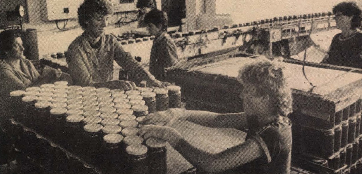 idokapszula_nb_i_1985_86_1_fordulo_szigetvari_konzervgyar.jpg