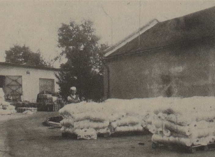 idokapszula_nb_i_1985_86_10_fordulo_szegedi_textilmuvek.jpg