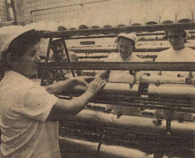 idokapszula_nb_i_1985_86_11_fordulo_zalai_fustoltsajt.jpg