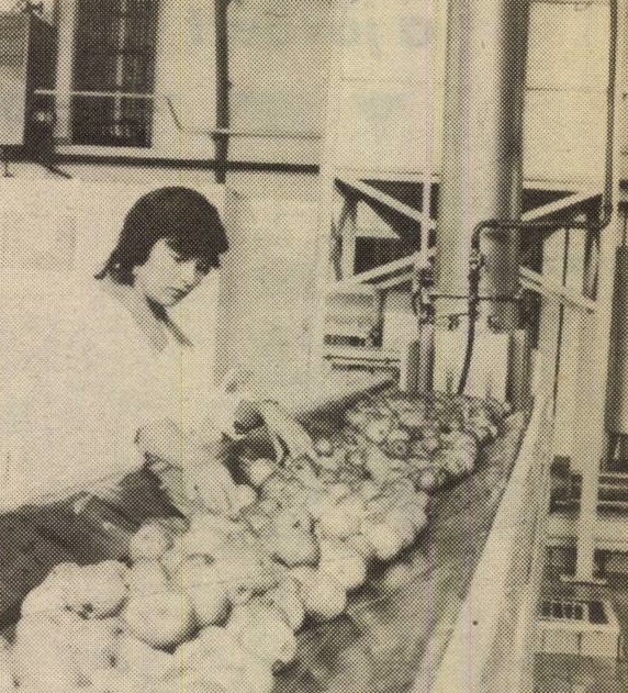 idokapszula_nb_i_1985_86_klubcsapataink_nemzetkozi_kupaszereplese_1_fordulo_2_kor_felso_tisza_menti_almafeldolgozo.jpg
