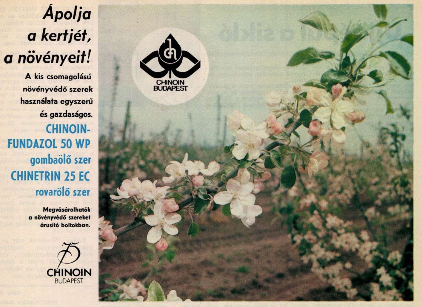 idokapszula_nb_i_1985_86_klubcsapataink_nemzetkozi_kupaszereplese_1_fordulo_2_kor_reklam_3.jpg