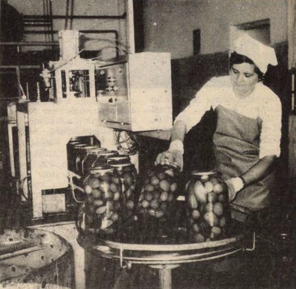 idokapszula_nb_i_1985_86_12_fordulo_fehergyarmati_zoldert.jpg