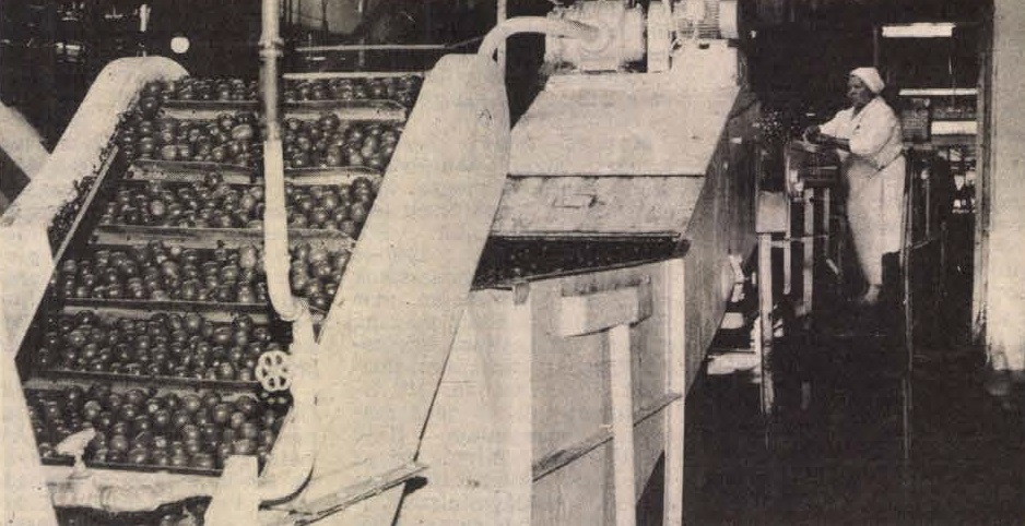 idokapszula_nb_i_1985_86_13_fordulo_paksi_konzervagyar.jpg