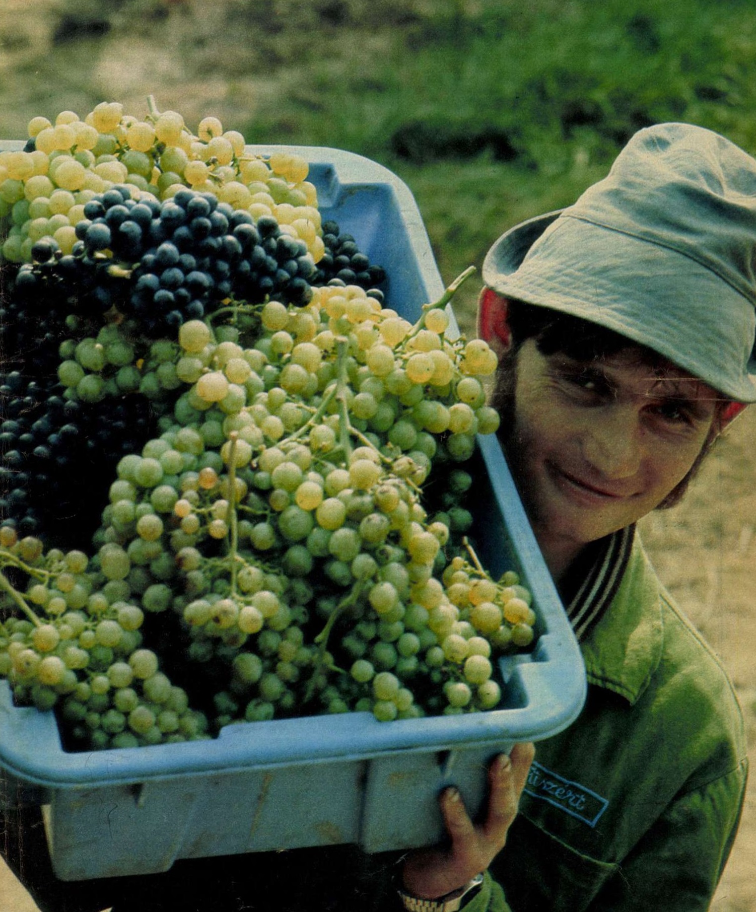 idokapszula_nb_i_1985_86_14_fordulo_headlines_szuret.jpg