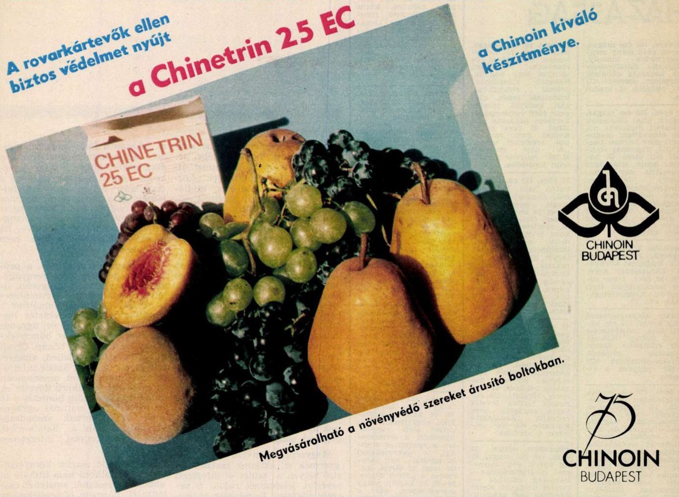 idokapszula_nb_i_1985_86_2_fordulo_reklam_3.jpg
