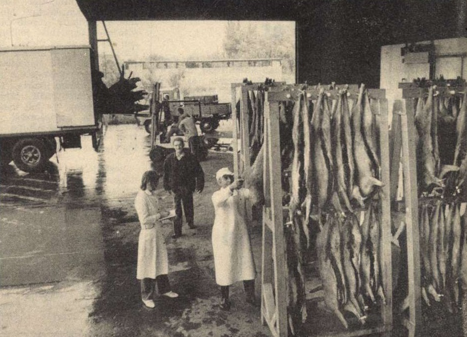 idokapszula_nb_i_1985_86_2_fordulo_szekesfehervari_vadexport.jpg