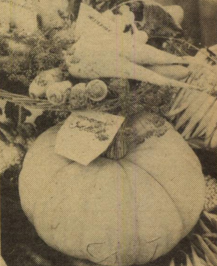 idokapszula_nb_i_1985_86_3_fordulo_omek_miskolci_unio_afesz.jpg