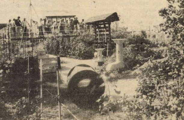 idokapszula_nb_i_1985_86_4_fordulo_omek_biokert.jpg